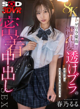 【SODVR】【VR】【8K】ゲリラ豪雨で濡れ髪・透けブラの幼馴染と、見つめ合い温め合った密着中出しSEX 春乃るる(13dsvr01823)(女優：春乃るる（はるのるる）)